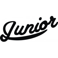 Aeronca L-3 Junior Aircraft Logo 