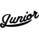 Aeronca L-3 Junior Aircraft Logo 