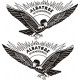 Albatros Scheneidemuhl Aircraft Decal