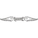 Alexander Eaglerock Aircraft decals