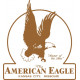 American Eagle Eaglet Aircraft decals