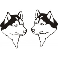 Aviat Husky Rudder Aircraft Decals