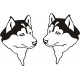 Aviat Husky Rudder Aircraft decals