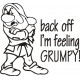 Back Off I'm Feeling Grumpy decal