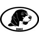 Beagle Dog Oval Decal Window/Car Decal 