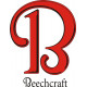 Beechcraft  B Aircraft Vinyl Graphics Decal 