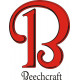 Beechcraft B Aircraft Vinyl Graphics Decals