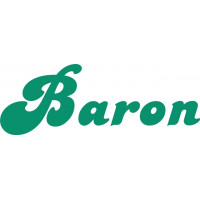 Beechcraft Baron Aircraft Logo,Script  