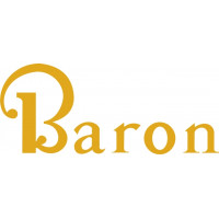Beechcraft Baron Aircraft Logo 