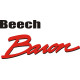 Beechcraft Baron Aircraft decals