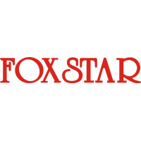 Beechcraft BaronFoxstar Aircraft Logo