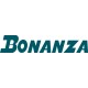 Beechcraft  Bonanza Script Aircraft decal 