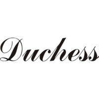 Beechcraft Duchess Aircraft decals