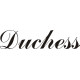 Beechcraft Duchess Aircraft decals