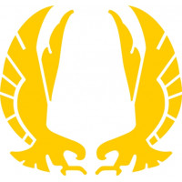 Beechcraft Eagle Aircraft Logo Decal 