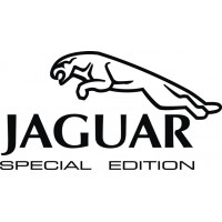 Beechcraft King Air Jaguar Special Edition 