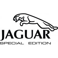 Beechcraft King Air Jaguar Special Edition decals