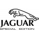 Beechcraft King Air Jaguar Special Edition decals