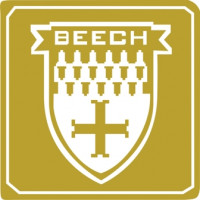 Beechcraft Medallion Aircraft Logo Decal
