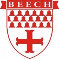 Beechcraft Medallion decals