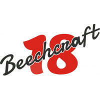 Beechcraft Model 18 Twin Beech Aircraft Logo  