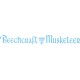 Beechcraft  Musketeer decal