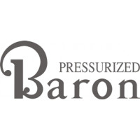 Beechcraft Pressurized Baron Aircraft Logo