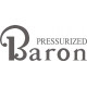 Beechcraft Pressurized Baron Aircraft decals