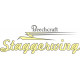 Beechcraft Staggerwing Aircraft decals