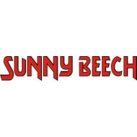 Beechcraft Sunny Beech Aircraft Logo  