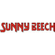 Beechcraft Sunny Beech Aircraft decals  