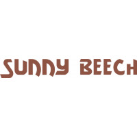 Beechcraft Sunny Beech Aircraft Logo 