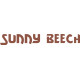 Beechcraft Sunny Beech Aircraft decals 