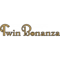 Beechcraft Twin Bonanza Aircraft Logo  