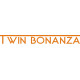Beechcraft Twin-Bonanza decals  