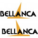 Bellanca Aircraft Decals