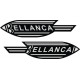 Bellanca Aircraft Logo  