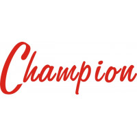 Bellanca Champion decals 