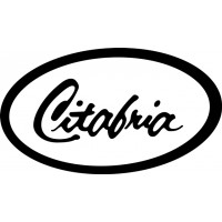 Bellanca Citabria Aircraft Logo 