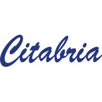 Bellanca Citabria Aircraft Logo 