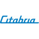 Bellanca Citabria Aircraft Logo