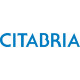 Bellanca Citabria Aircraft Logo