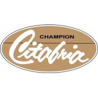 Bellanca Citabria Champion Aircraft Logo 