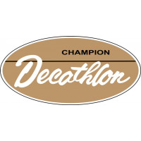 Bellanca Decathlon Champion Aircraft decals