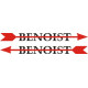 Benoist Aircraft Company decals