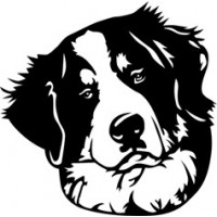 Bernese Mountain Dog Window/Car decals