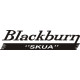 Blackburn Skua Aircraft decal