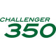 Bombardier 350 Challenger Aircraft Decals