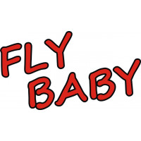 Bowers Fly Baby Aircraft Logo Vinyl Graphics Decal 