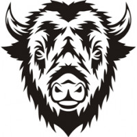 Bull Bison Aircraft Fun Stuff Emblem 